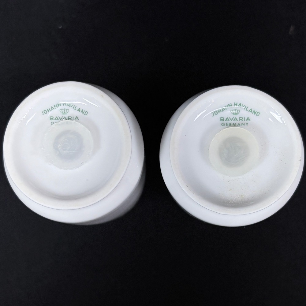 Johann Haviland Bavarian China‎ Forever Spring Salt & Pepper Shakers Floral - Picture 6 of 6